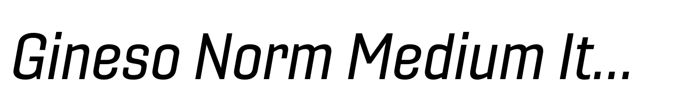 Gineso Norm Medium Italic